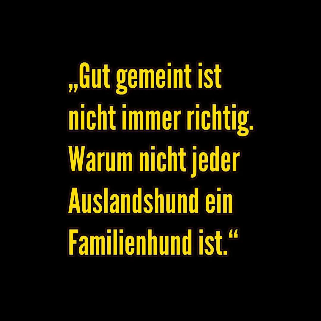 @Happy Paws Germany