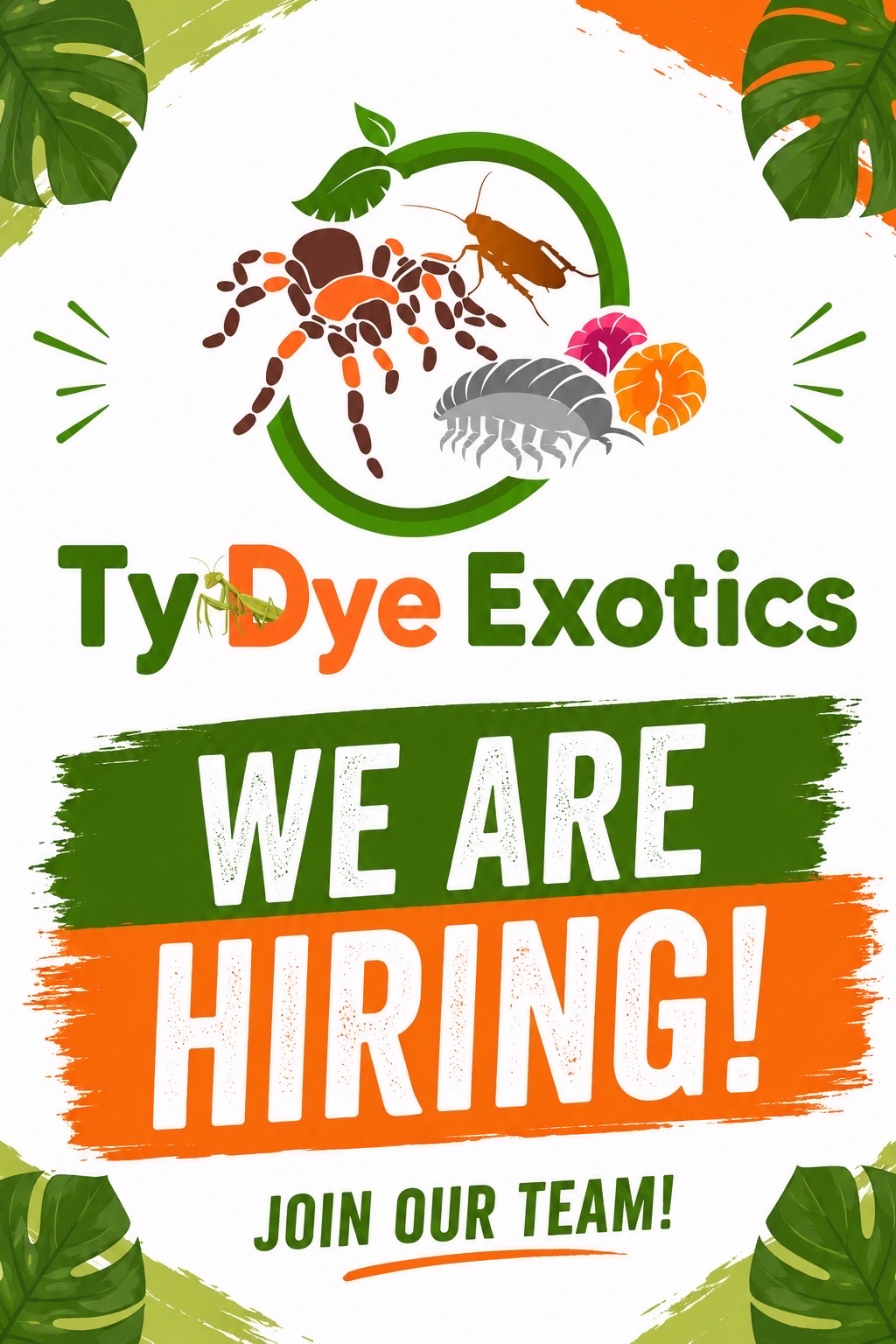@tydyeexotics