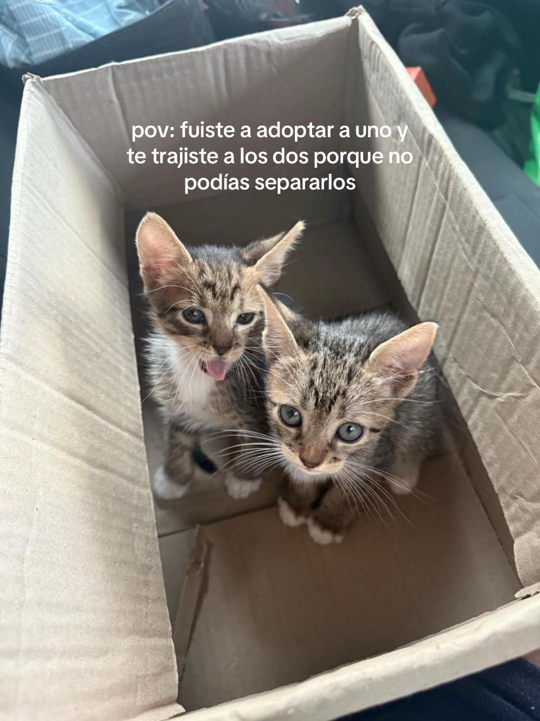 @sol