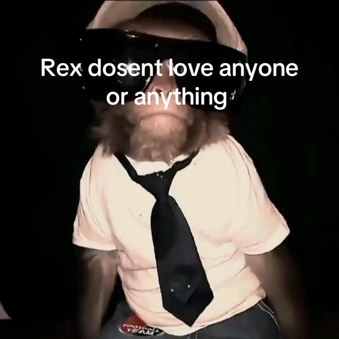@rei ayanami