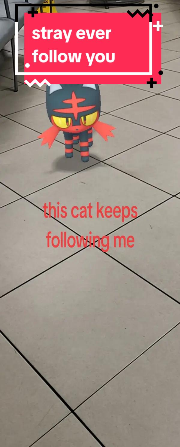 @WarriorQueen