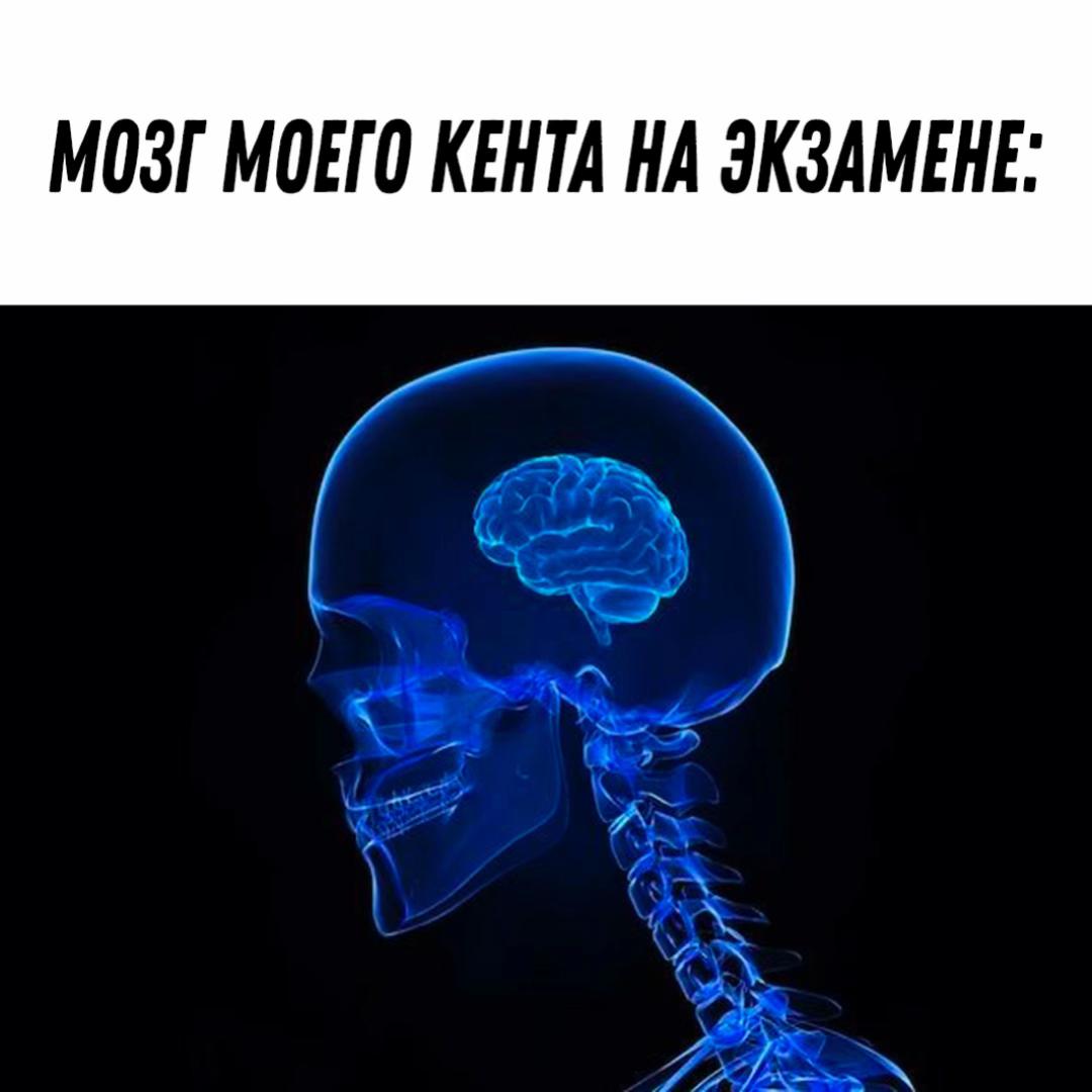 @Andrew_Kэш