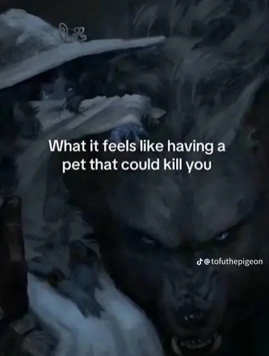 @๐๐๐ ๐๐ธ๐๐๏ธ
