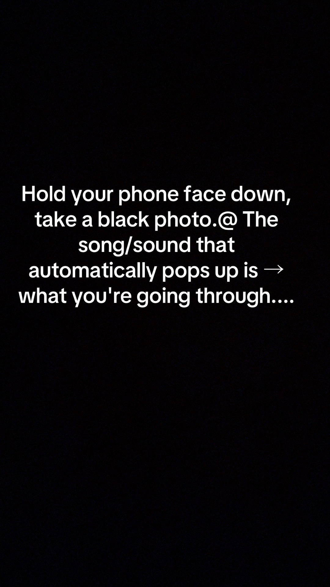 @Chelsea Stewart