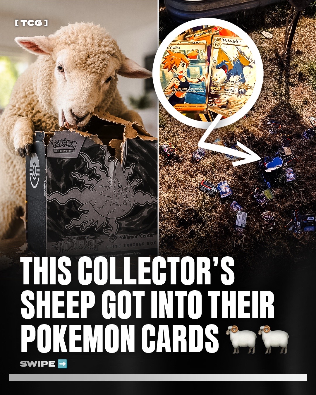 @The Collectibles Guru