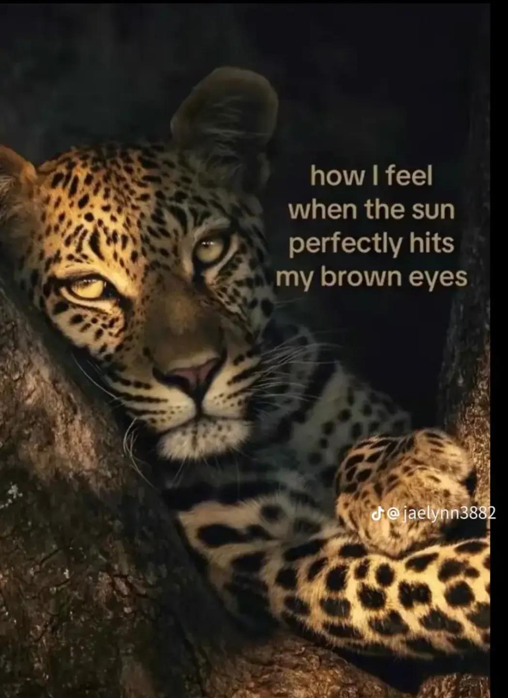 @Ria_DaGoat