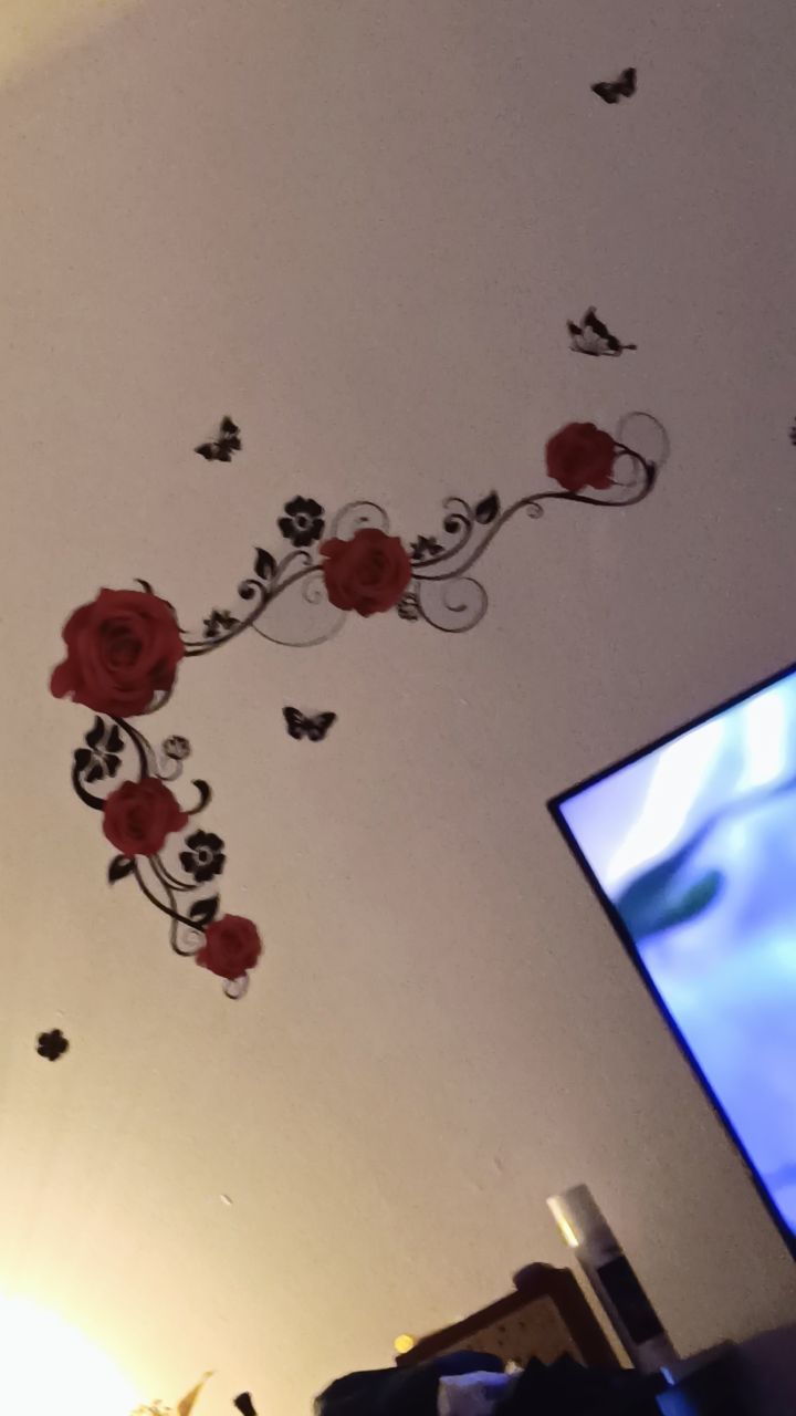 @Zohra Priscilla Marie