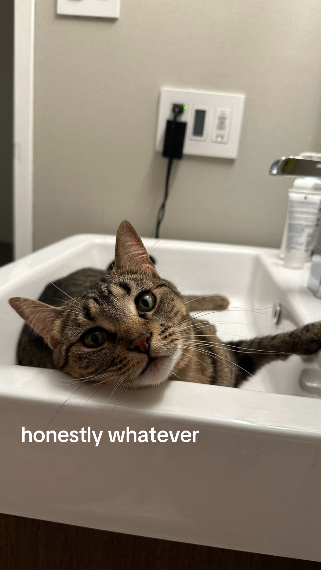 @lilloafygirl