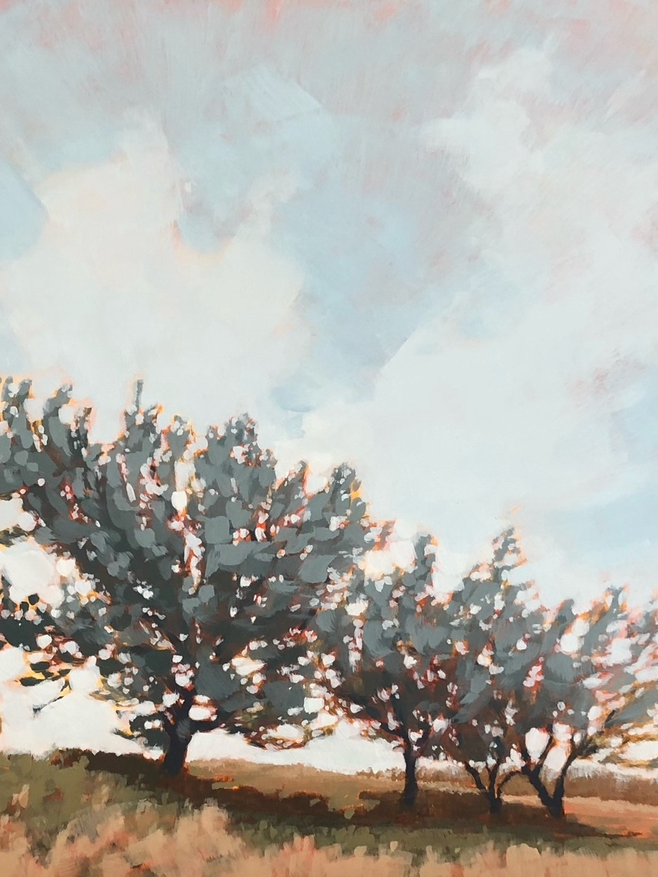 @Jim Musil Painter