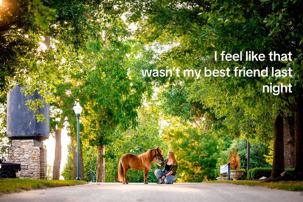 @Sarah & Patrick The Mini Horse