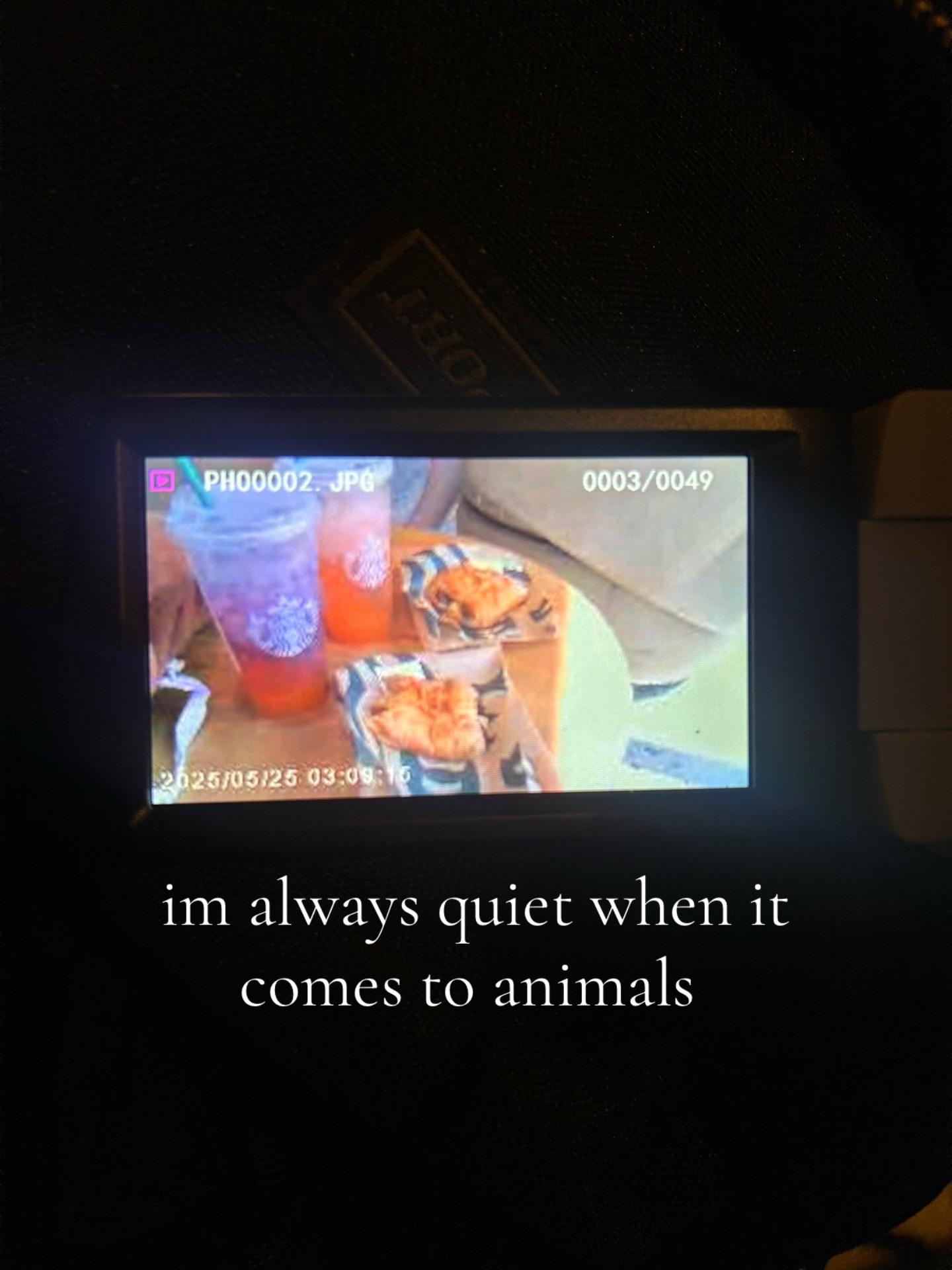 @Monkey ๐ (dinosaur edition)