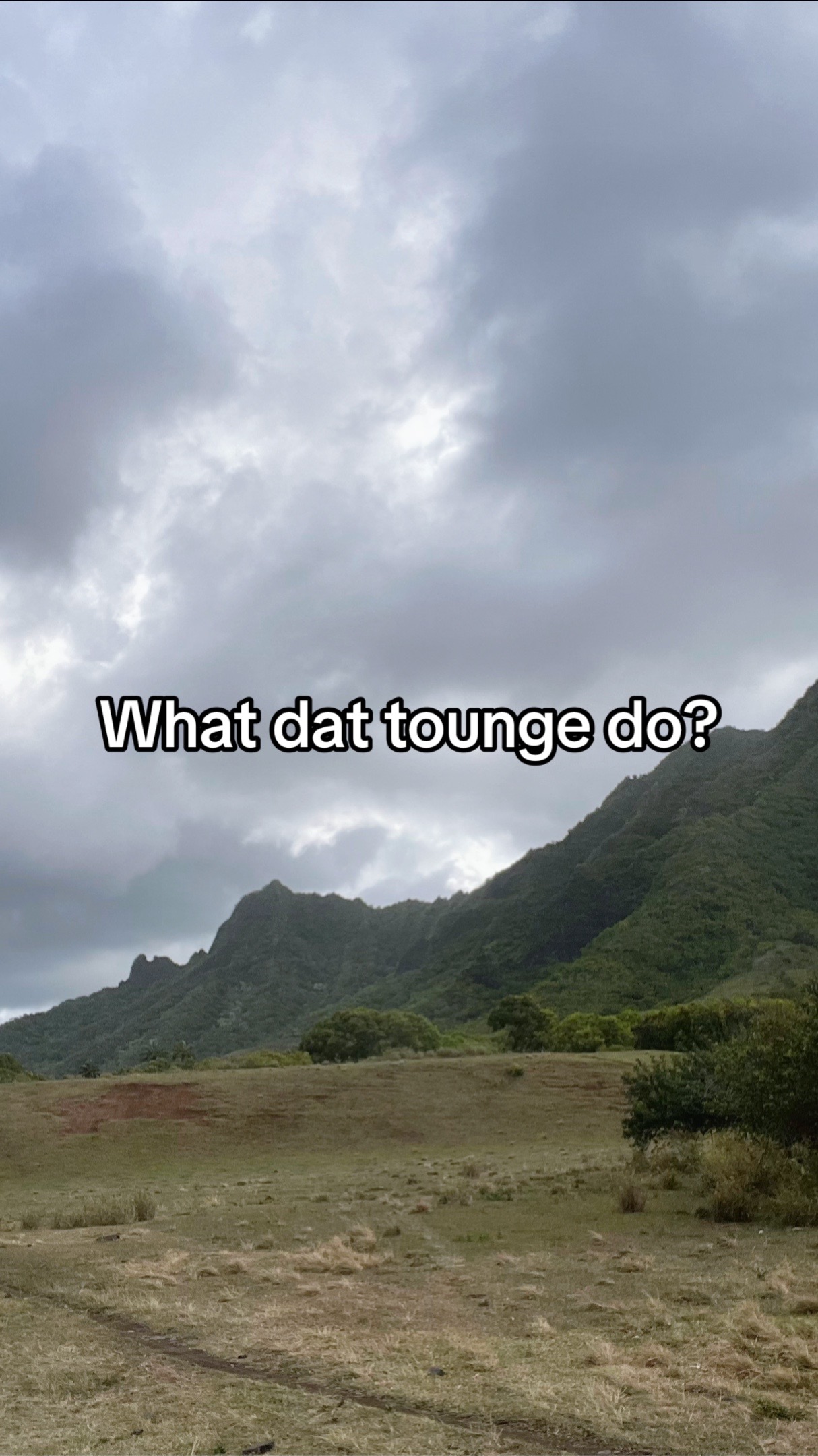 @MJB🦉