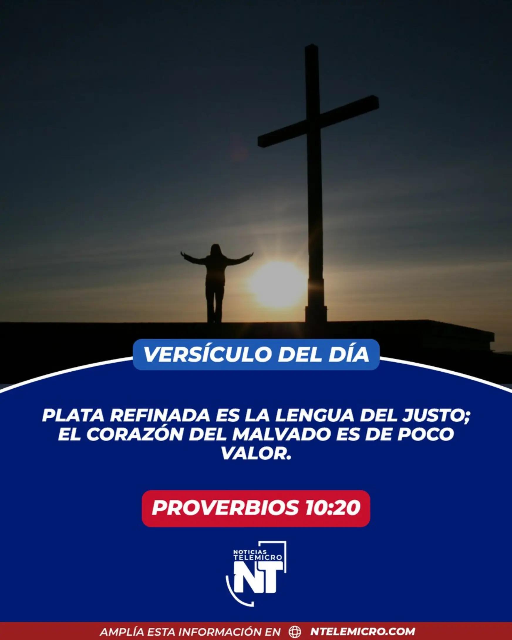 @Miguel Medina oficial