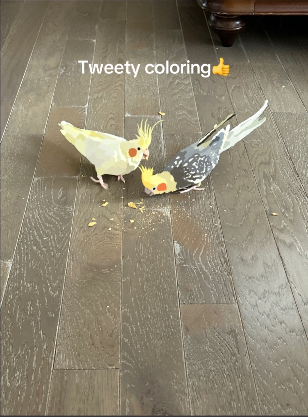 @tweety