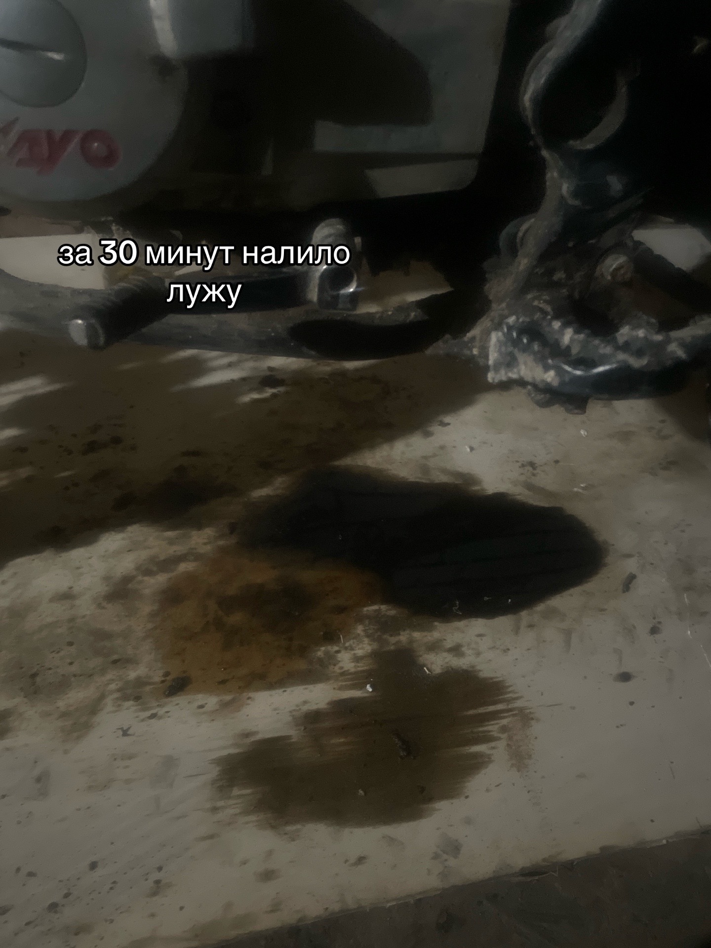 @ЙОШКАРОЛИНСКИЙ КАЙОВОД✅