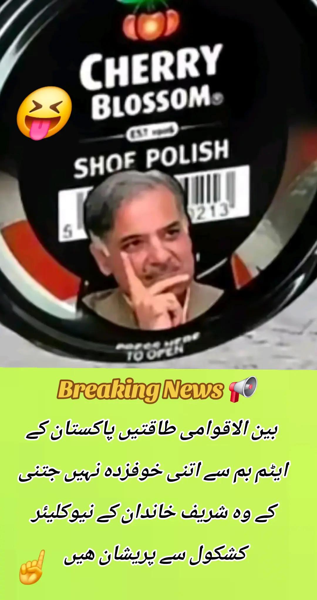 @اڈیالہ 804