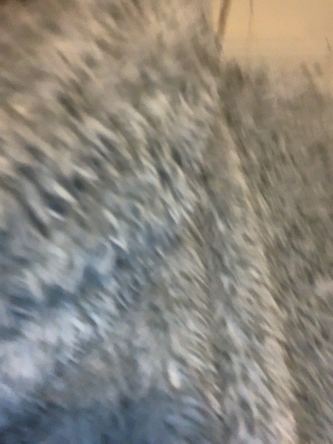@Ciarahanson8927