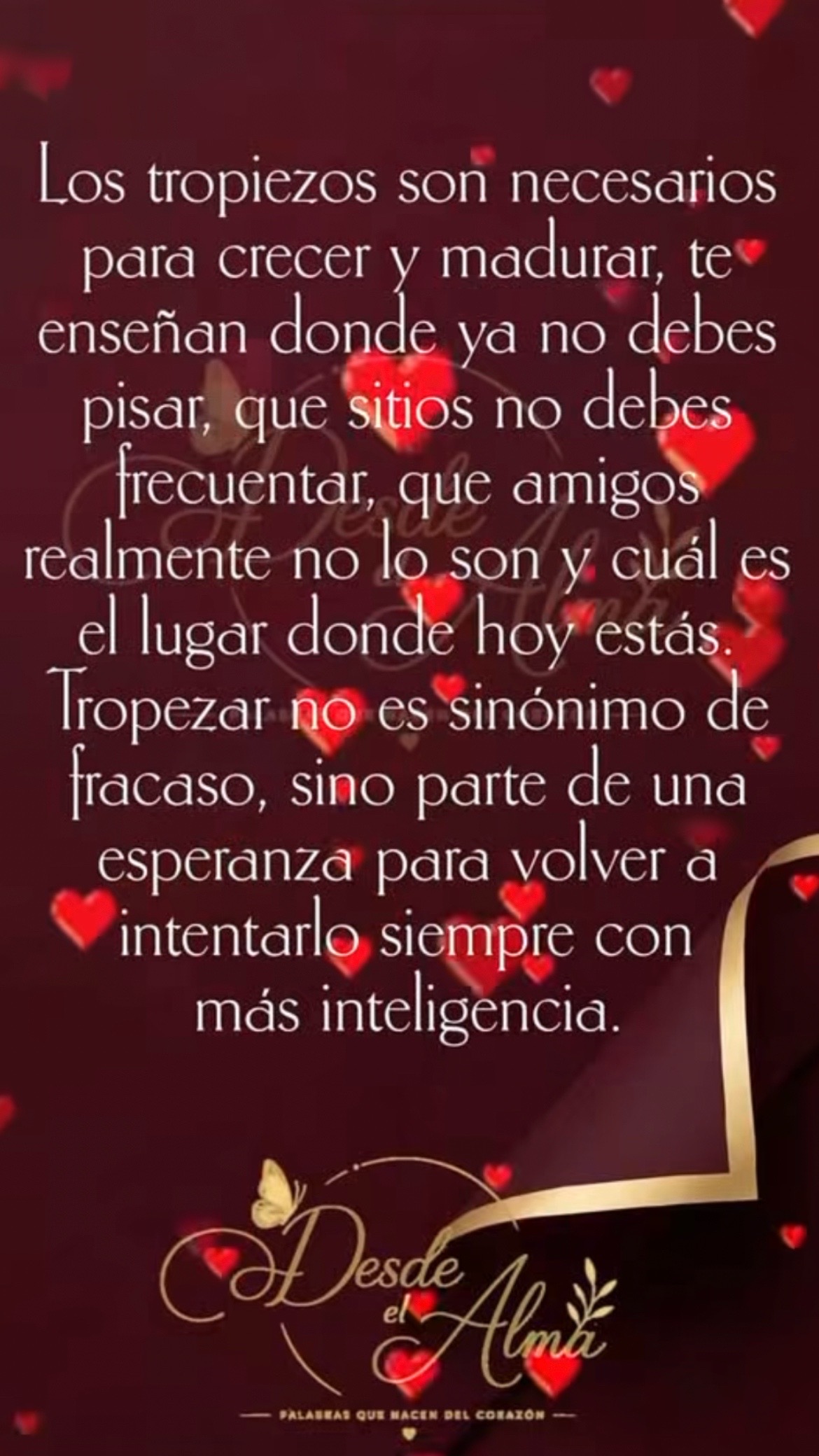 @Pedro Cruz