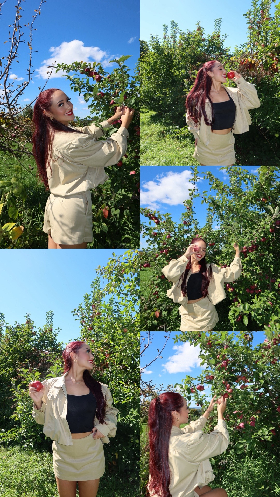 @dianaloyola