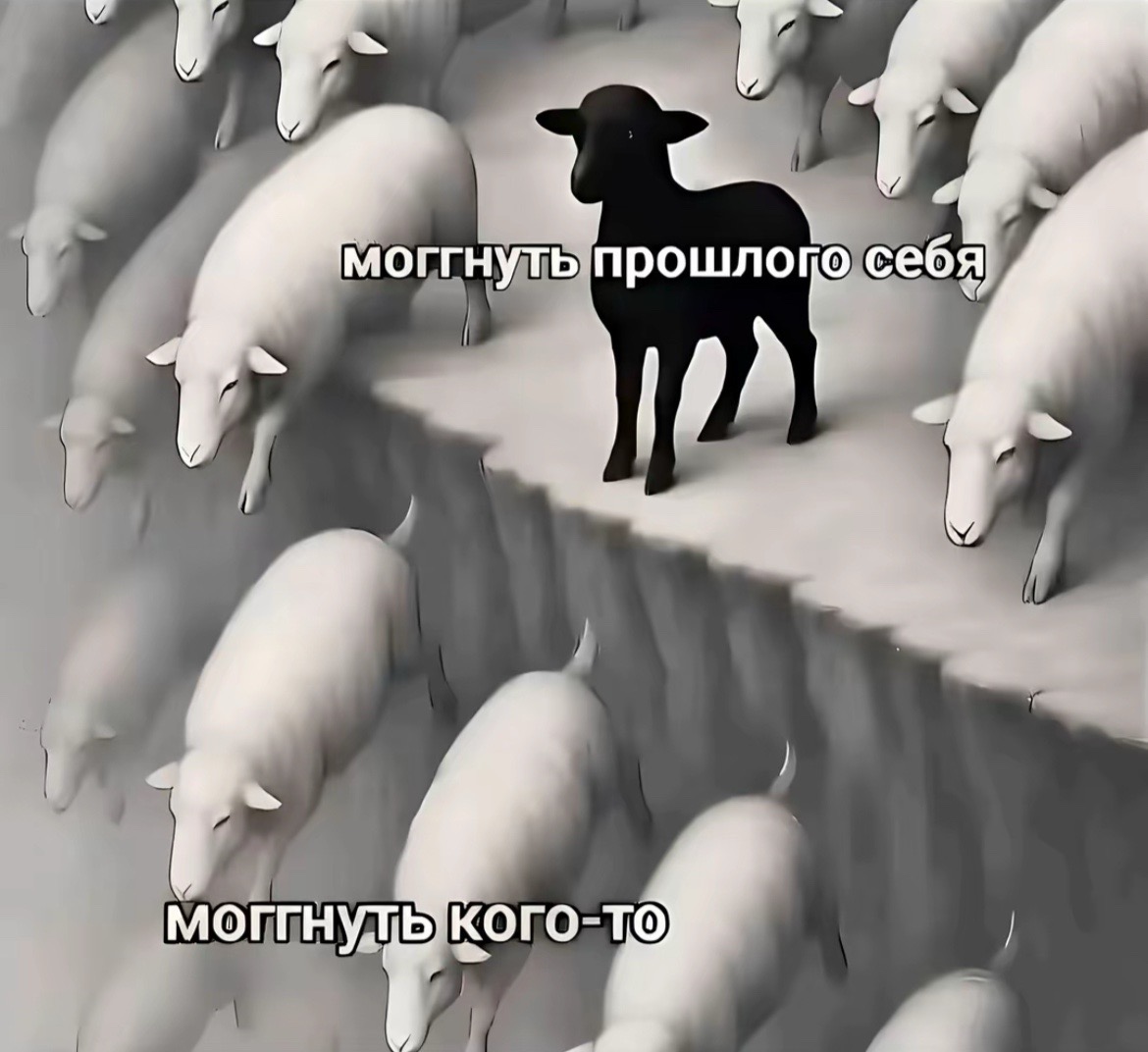 @Sergo