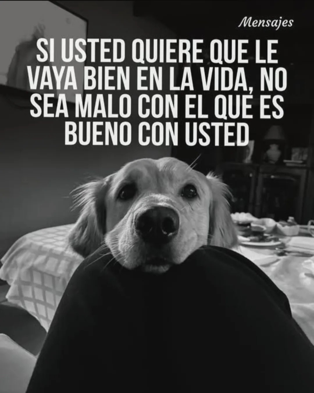 @Bomby y princesa🩵🩷