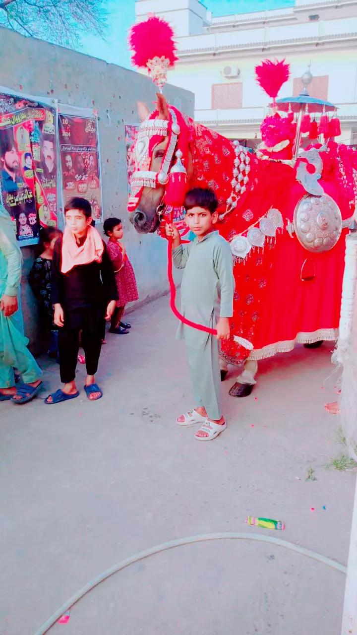 @syednabeelhaider08