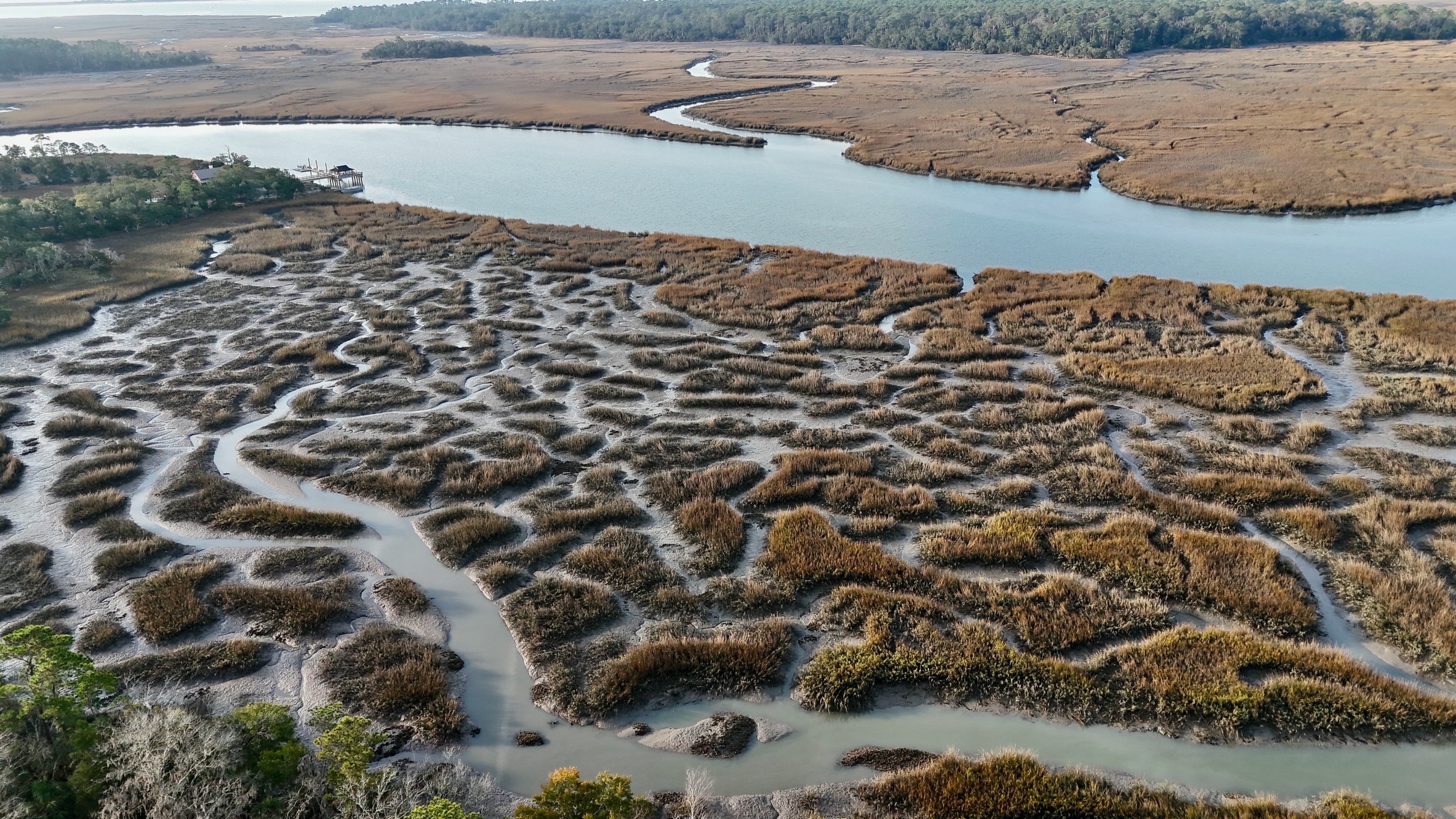 @Hampirk | Lowcountry
