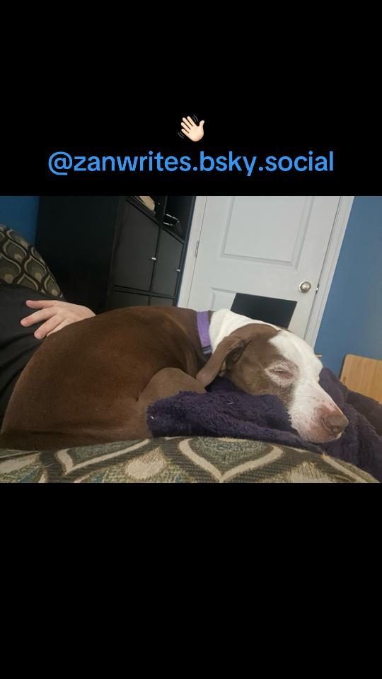 @@zanwrites.bsky.social