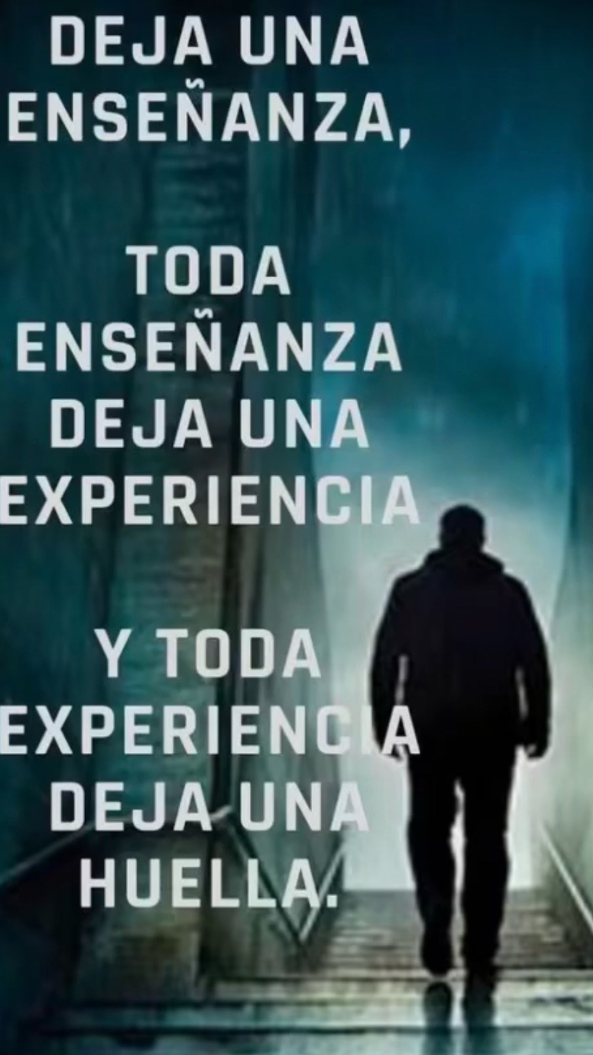@Pedro Cruz