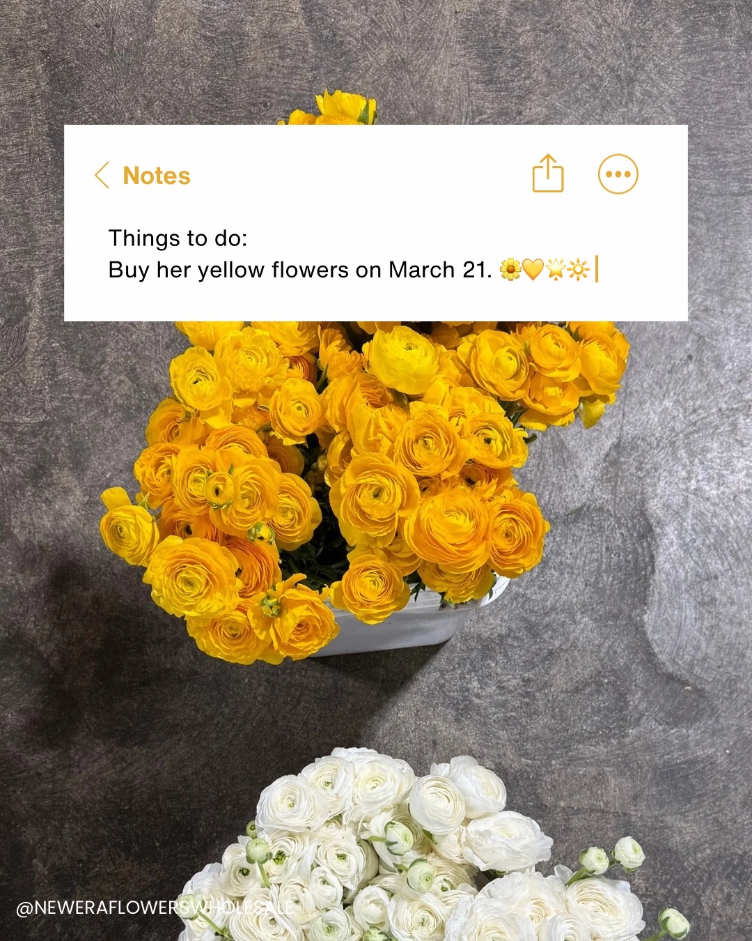 @New Era Flowers