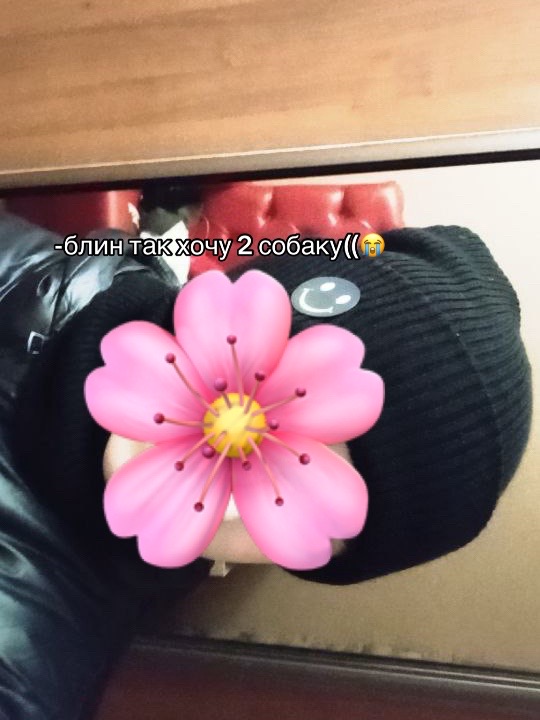 @бк💋