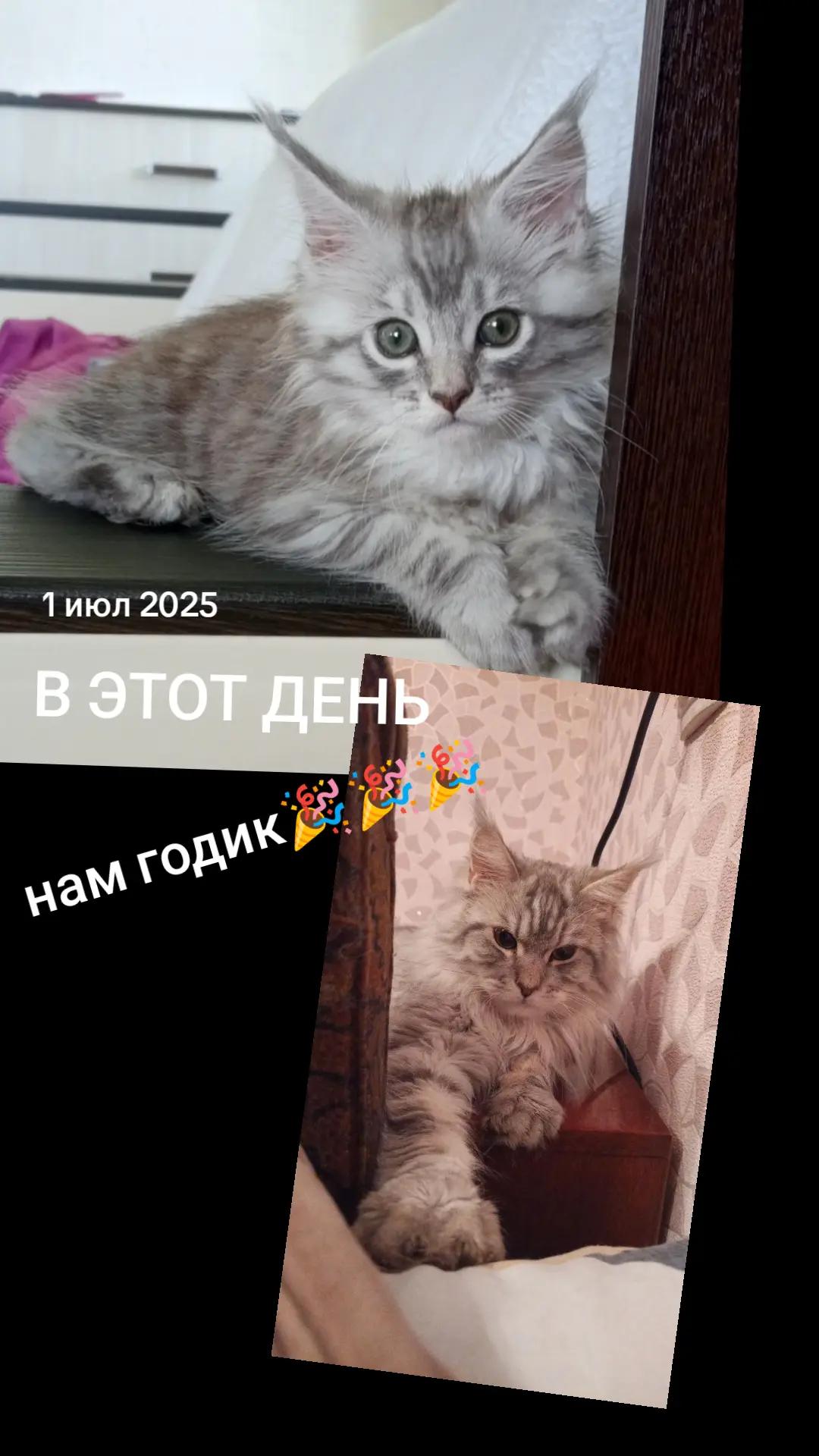 @꧁♡Танюхха♡꧂