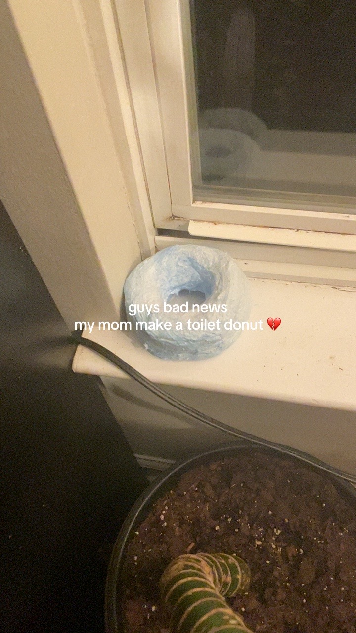 @meowtchi&rsquo;s ONLY fan 👀 | 600+