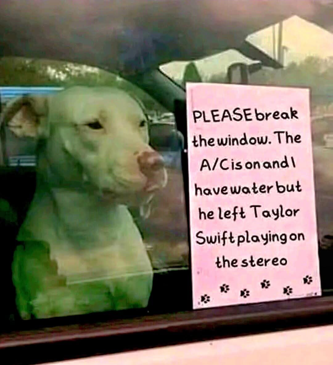 @ShadowDragon