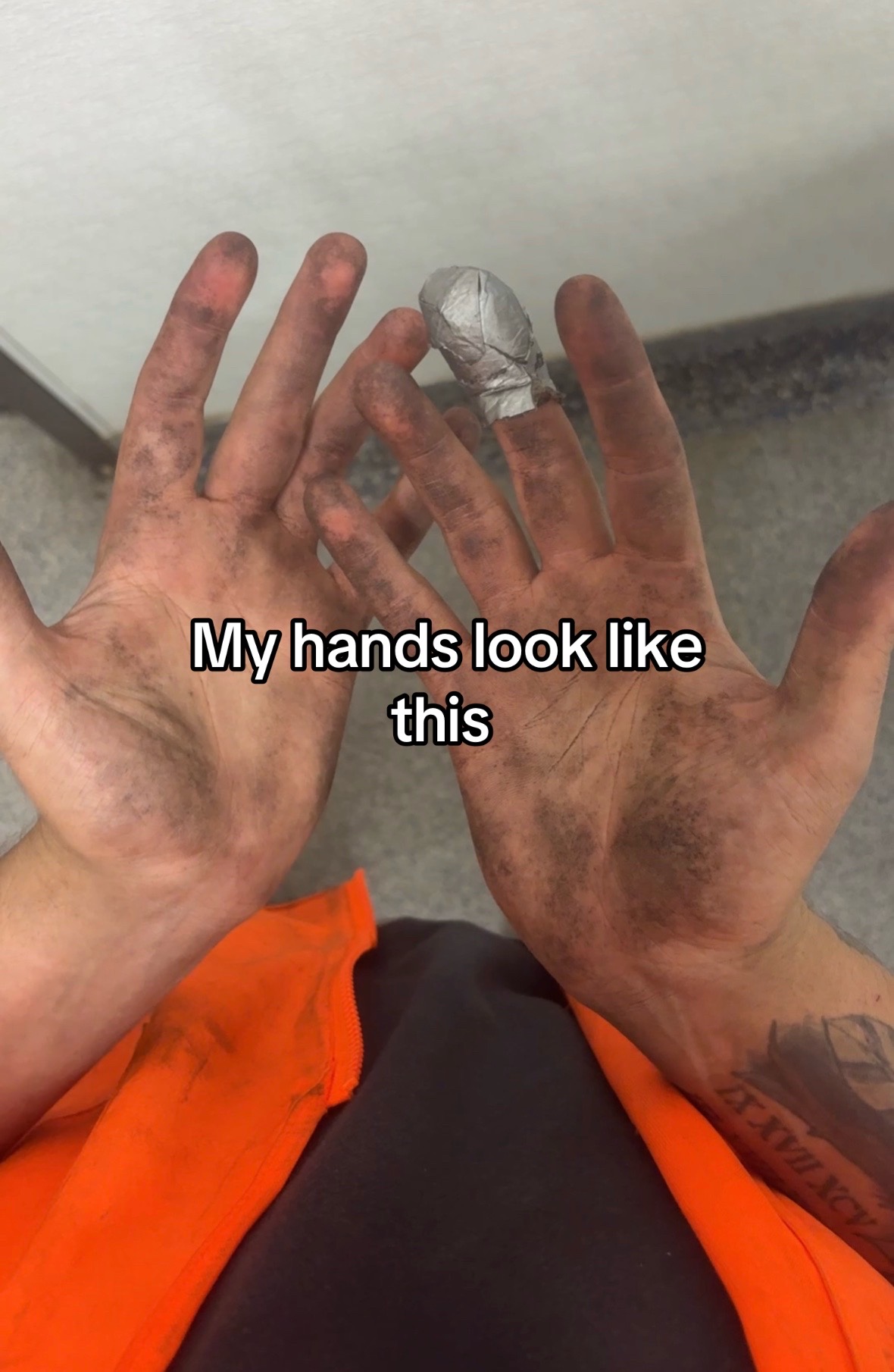 @Gato
