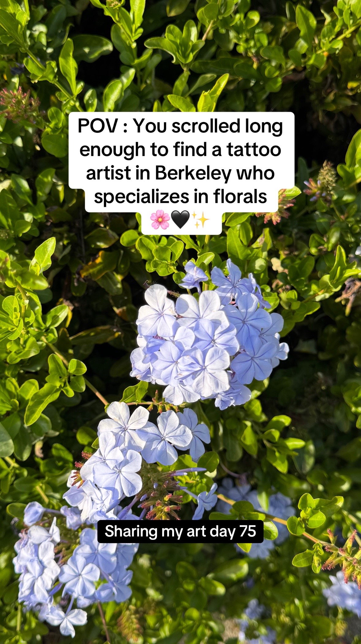 @Elle Webb | Tattoo Artist