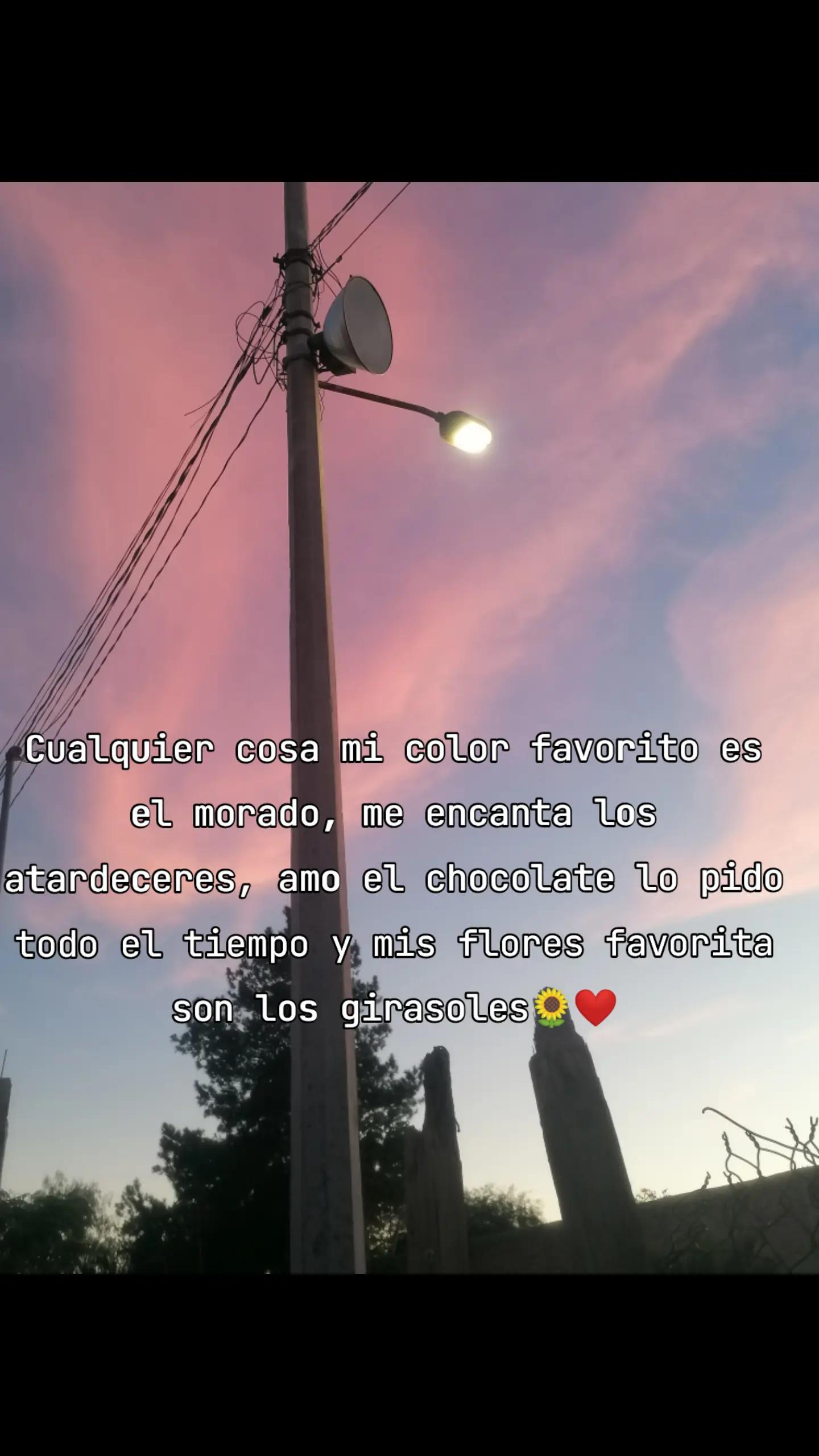 @Iris Flores 24