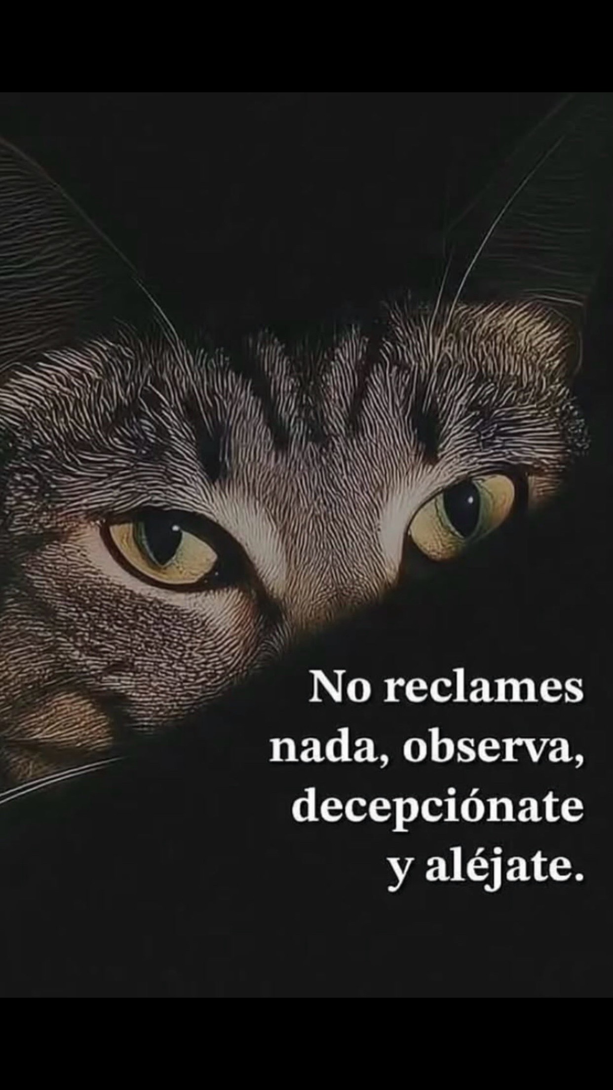 @Gabriella_ww04