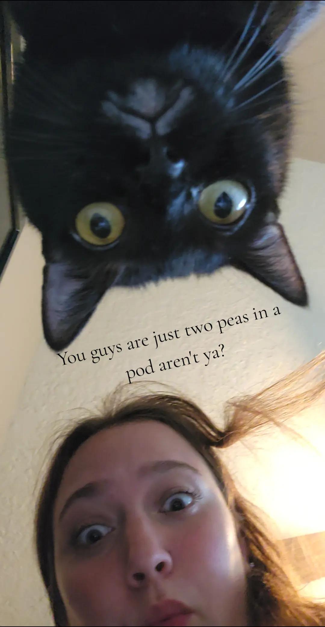 @Sara