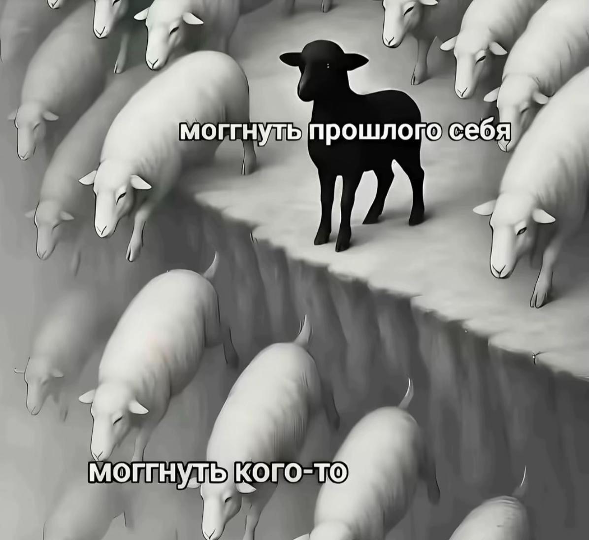 @тгк:miilakks