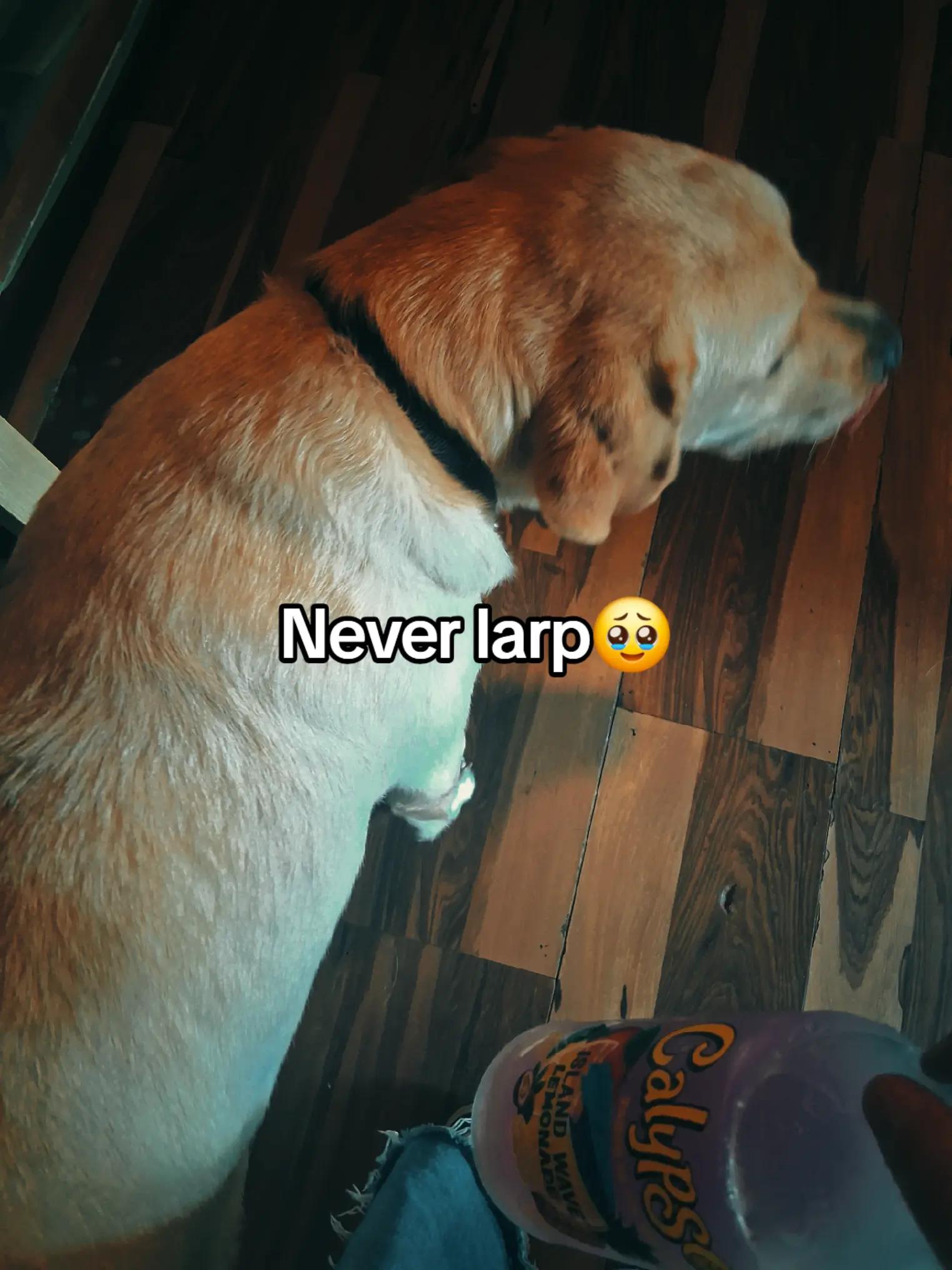 @Braypop✝️