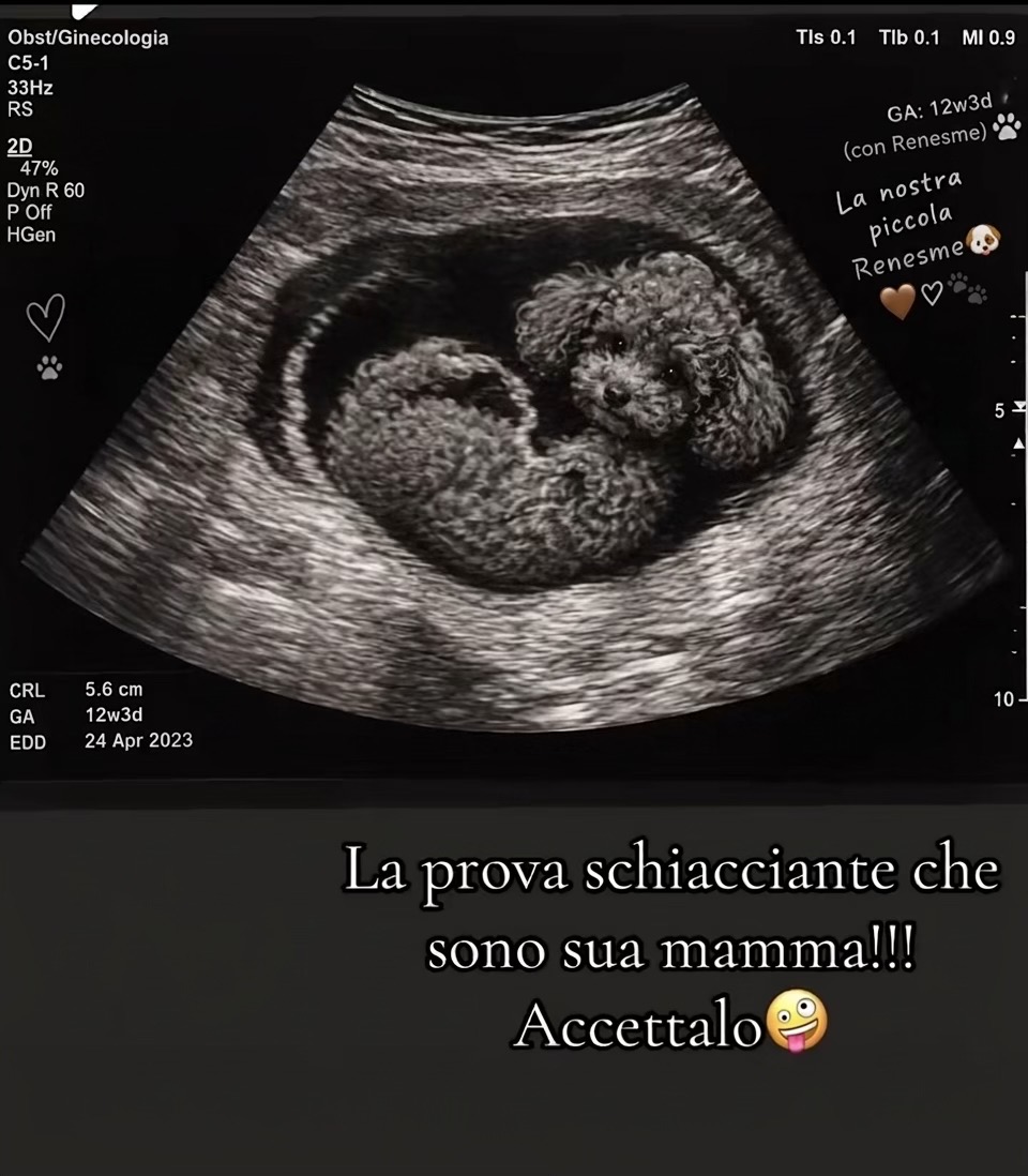 @Eleonora Locci