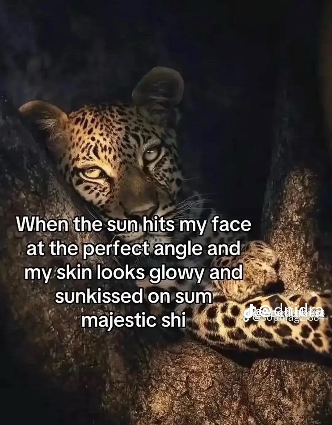 @Jas