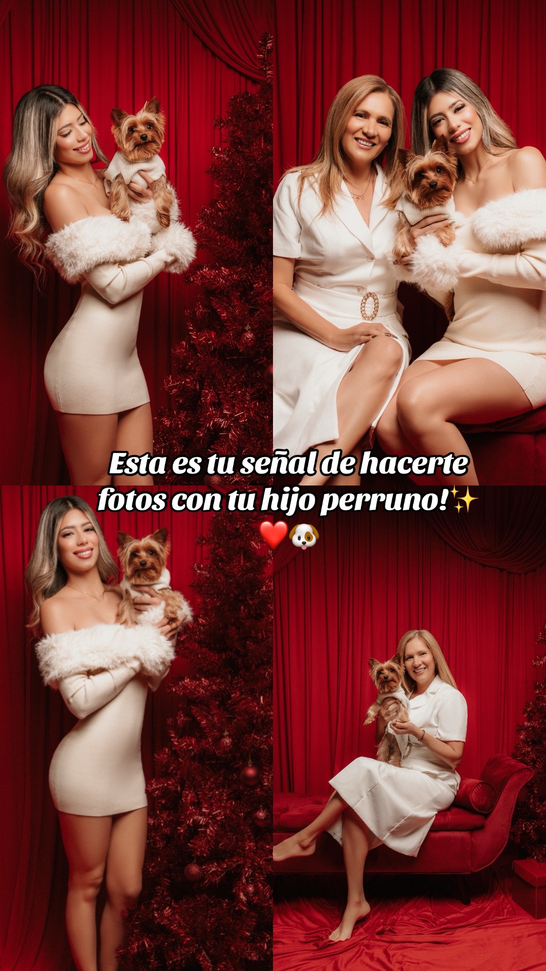 @María