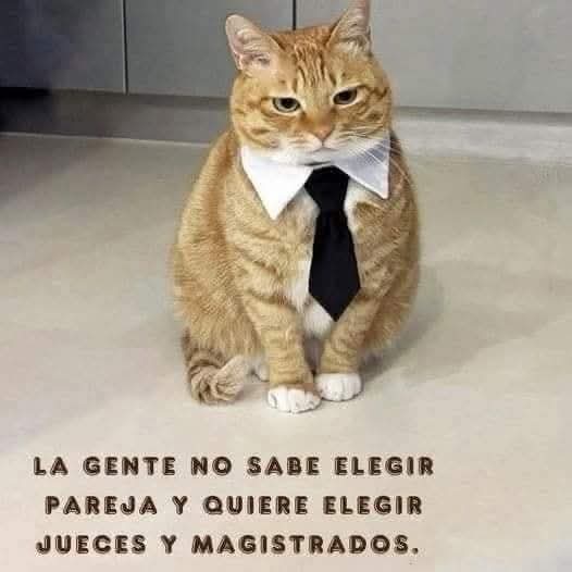 @luisfelipe13