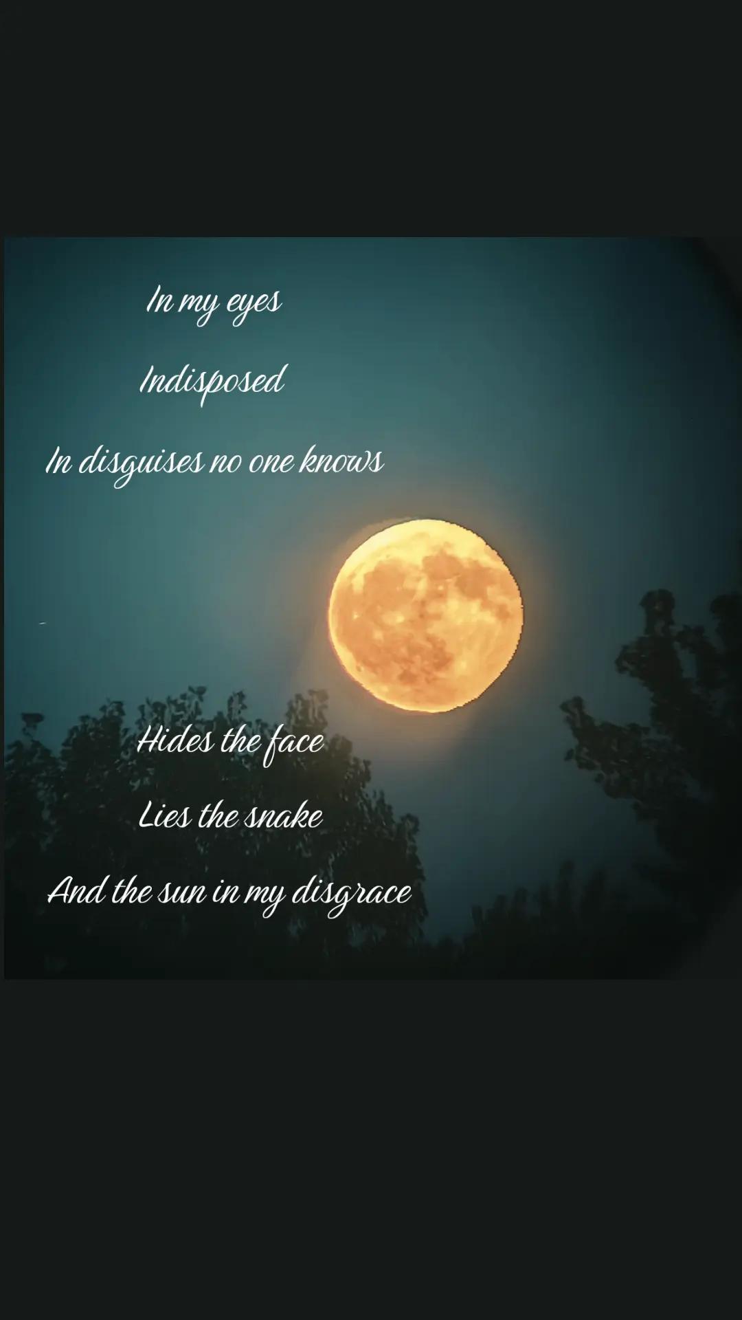 @Natasha🌙
