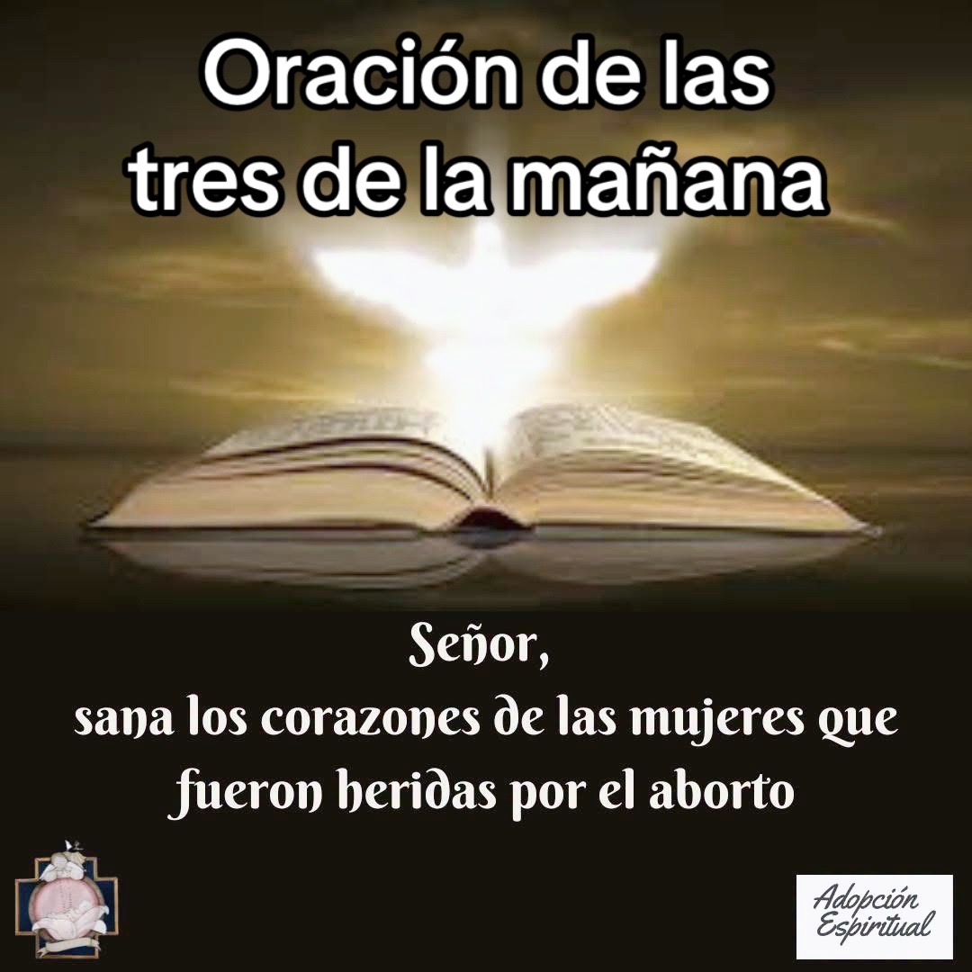@8luisplaza8