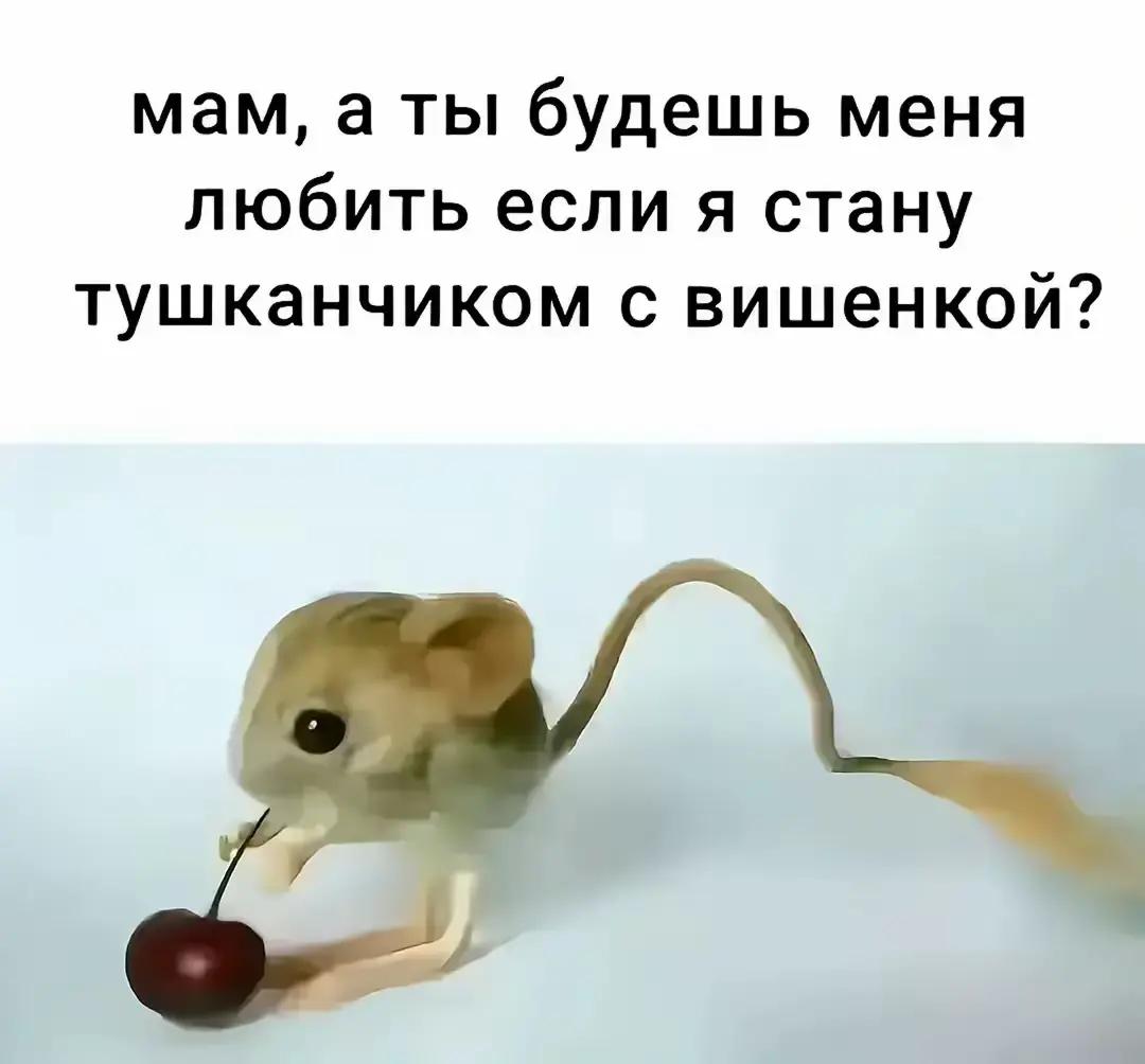 @❤️Стася❤️