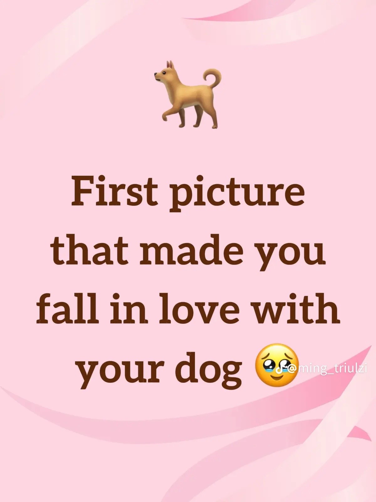 @Katelyn Harris