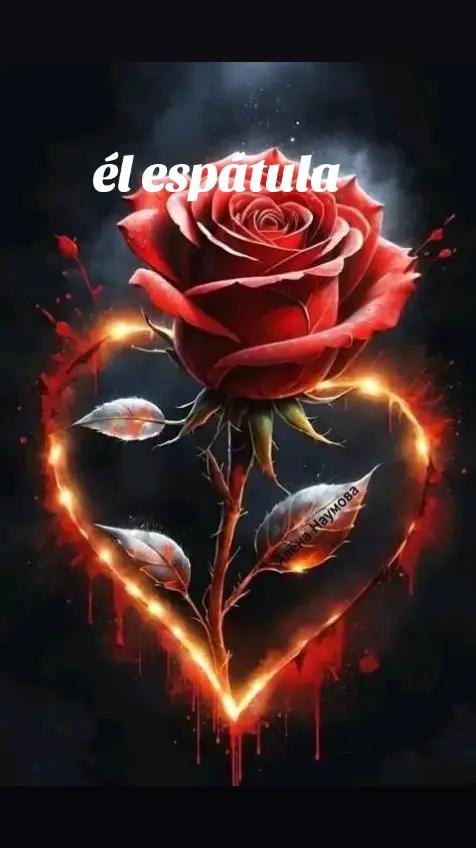 @ambateño dé corazón